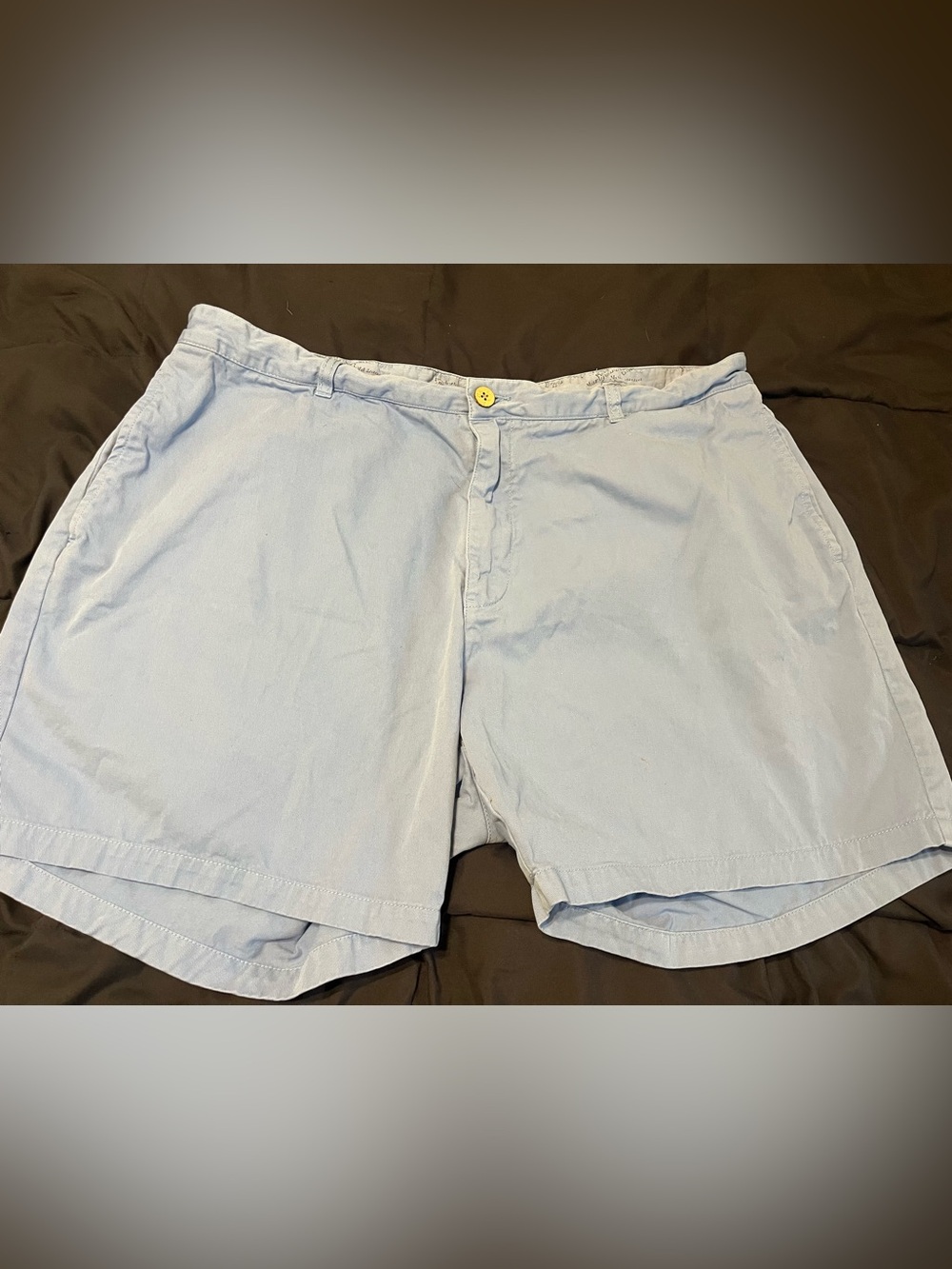 Southern Marsh Light Blue Flat Front Chino Shorts